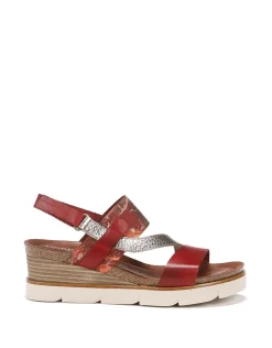 AGNES D8786