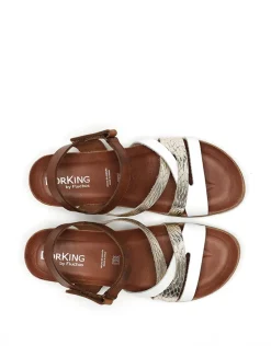 AGNES D9055
