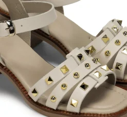CIRCUS D9066